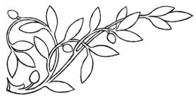 Escuadra con hojas de olivo. Dibujo del autor.